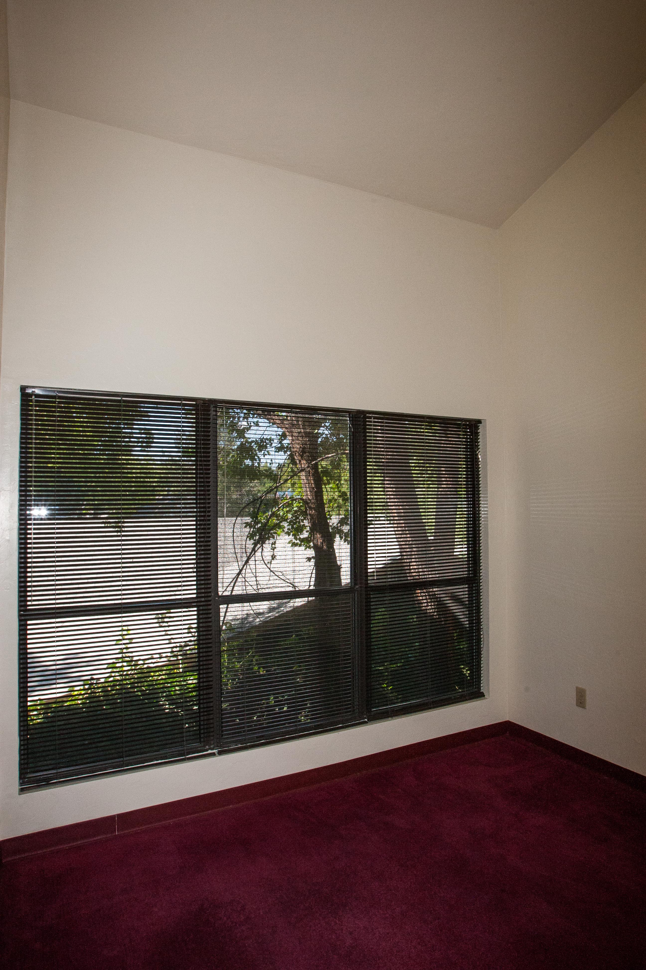 Suite 204 --4